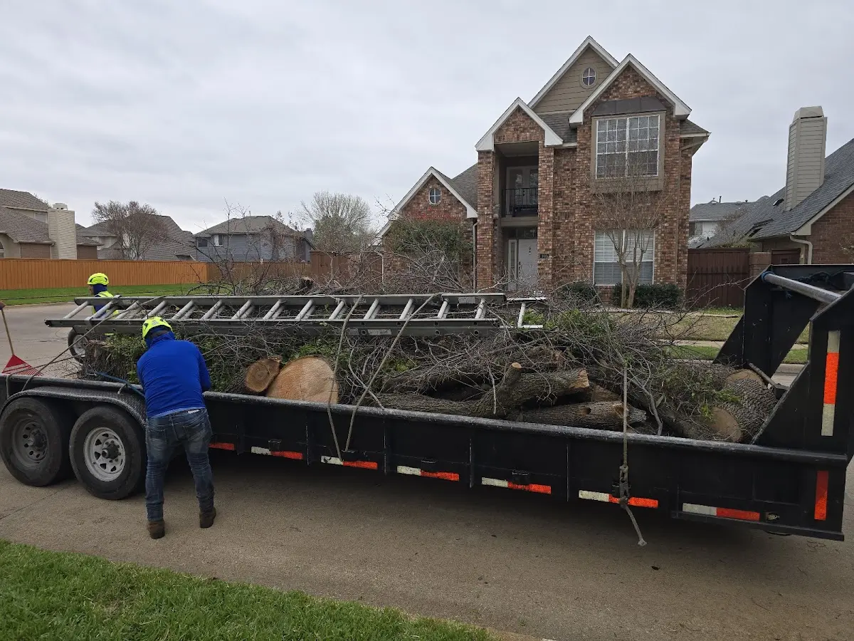 Expert Tree Fertilization with proper safety equipment in Elko
